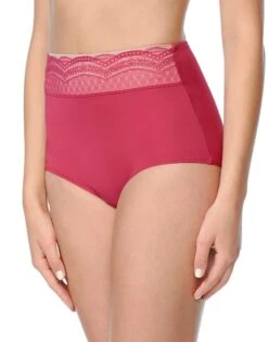 Warner's No Pinching No Problems Microfiber Brief With Lace RS7401P -Underline Fashion Store WA RS7401P 683 1500x1500 5a82a190 8193 4247 8cc1 aca8df90745d