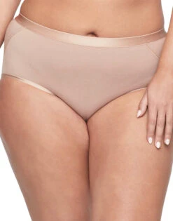 Warner's Easy Does It Modal Modern Brief RS9001P -Underline Fashion Store WA RS9001P 2007N3 3000x3000 1