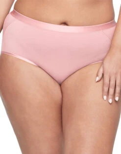 Warner's Easy Does It Modal Modern Brief RS9001P -Underline Fashion Store WA RS9001P 690BPK 3000x3000 1