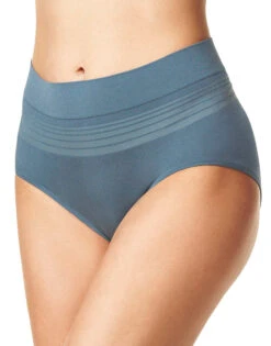 Warner's No Pinching No Problems Seamless Brief Panty RS1501P 24 Warner's No Pinching No Problems Seamless Brief Panty RS1501P -Underline Fashion Store Warner s RS1501P DarkMatter B